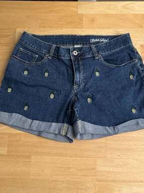 Faded Glory Denim Jean Shorts with Embroidered Pineapples Size 10